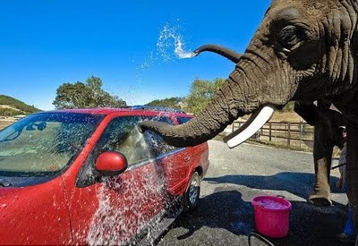 washing car with hard water